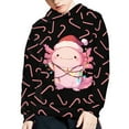 thumbnail image 1 of DISNIMO Christmas Axolotl Hoodies for Boys Streetwear Hoodie Kids Girls Hooded Pullover Sweatshirt with Pockets Hooded Sweatshirts for Boys Trendy Hoodie Kids 8-10 Boys Travel Clothes Fall, 1 of 7