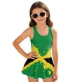 thumbnail image 1 of DISNIMO Jamaican Flag Print Girls Swimsuits One Piece Swim Dress Sleeveless U Neck Bathing Suit with Skirt Soft Breathable Swimwear for Kids Girls, 1 of 8