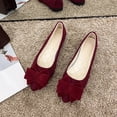 thumbnail image 1 of DIVVce Bow Ballet Flats For Women Suede Pointed Toe Comfortable Slip On Casual Lightweight Footwear, 1 of 8