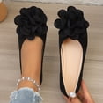 thumbnail image 1 of DIVVce Floral Applique Pointed Toe Ballet Flats For Women Closed Slip On Comfort Casual Footwear, 1 of 8