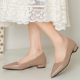 thumbnail image 1 of DIVVce Low Heel Pumps Women Leather Pointed Toe Comfortable Slip On Casual Lightweight Office Footwear, 1 of 8
