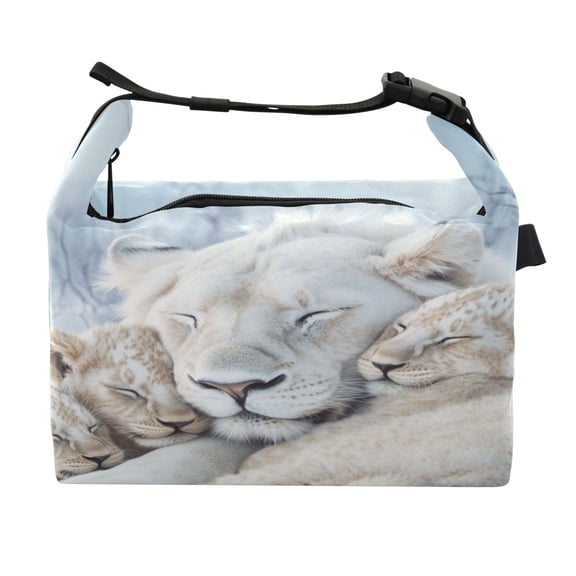 DIXRUYEE Lunch Bag Double Deck Lunch Cooler Box Fashion Soft Snowy Cuddle Pattern