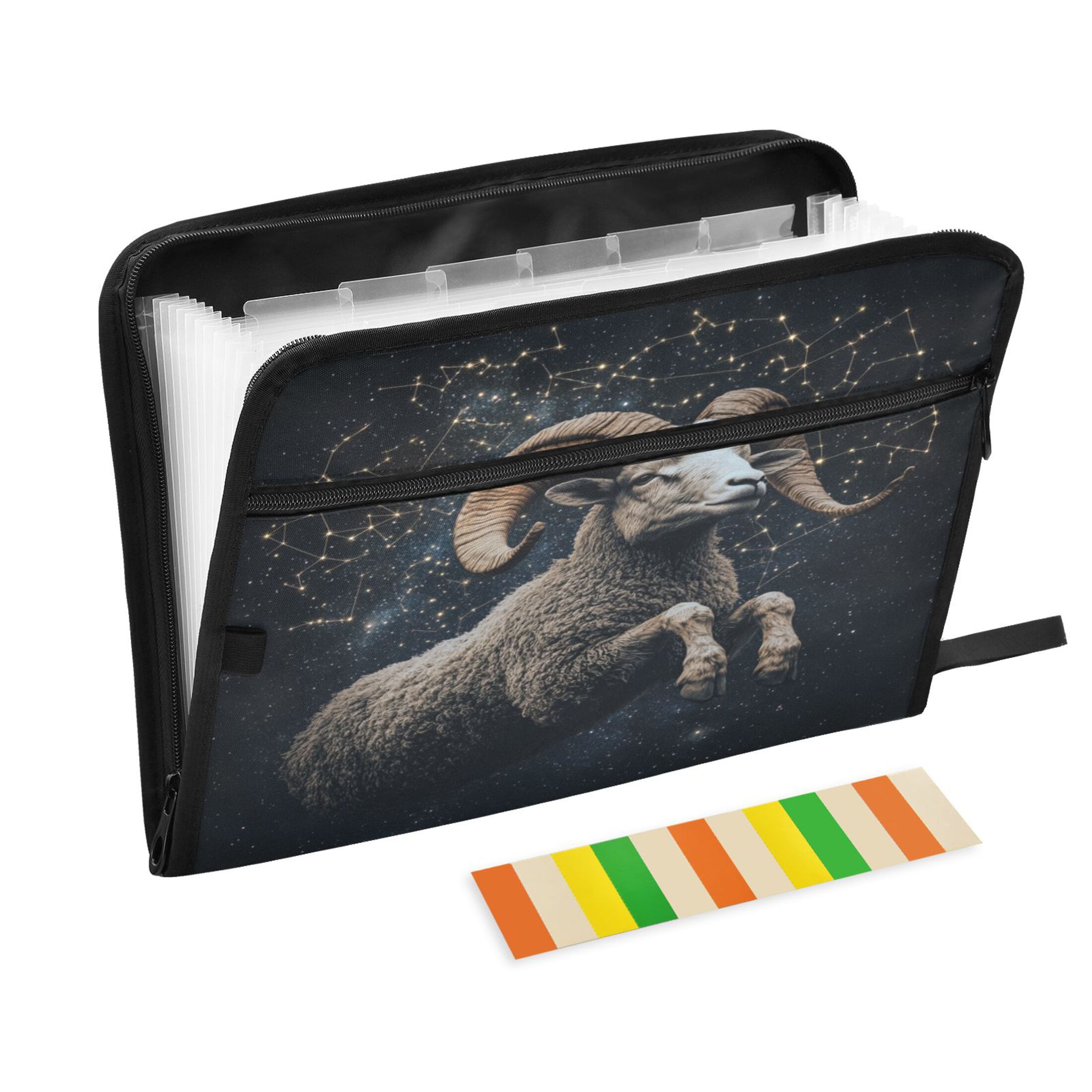 DIXRUYEE Organ Folders Expanding Folder with Color Label 13 Pocket ...