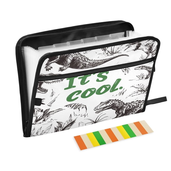 DIXRUYEE Organ Folders Expanding Folder with Color Label 13 Pocket Dino Chic Printed