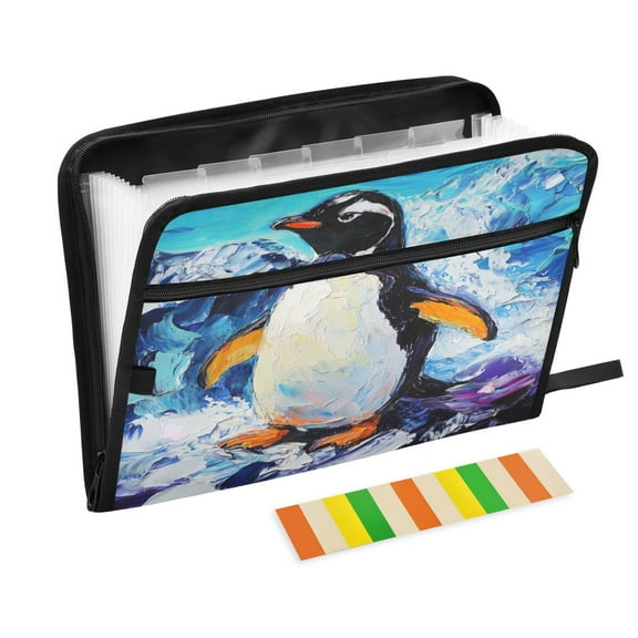 DIXRUYEE Organ Folders Expanding Folder with Color Label 13 Pocket Frozen Splendor Printed