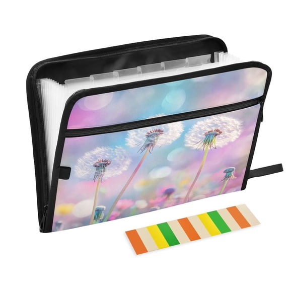 DIXRUYEE Organ Folders Expanding Folder with Color Label 13 Pocket Glimmering Dreams Printed