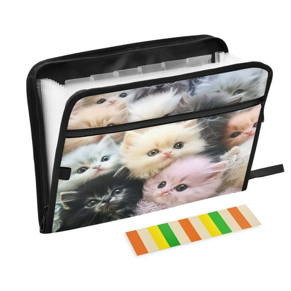 DIXRUYEE Organ Folders Expanding Folder with Color Label 13 Pocket Kittens’ Whimsical Wonderland Printed