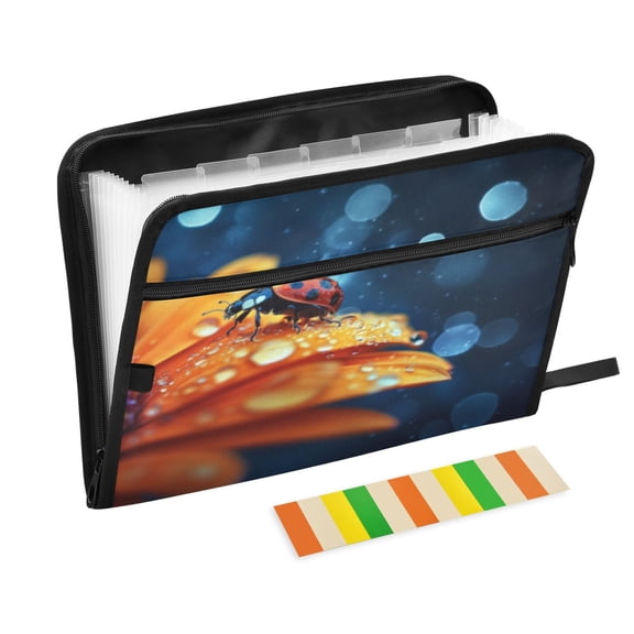 DIXRUYEE Organ Folders Expanding Folder with Color Label 13 Pocket Ladybug on A Blossom Printed