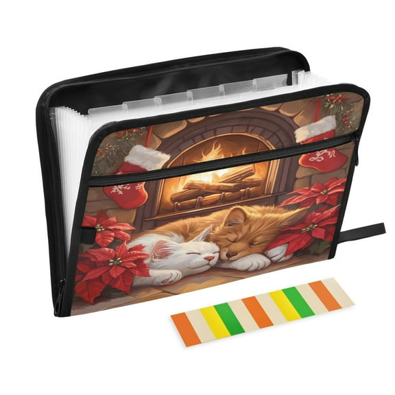 DIXRUYEE Organ Folders Expanding Folder with Color Label 13 Pocket Sleeping Puppies by Fireplace Printed