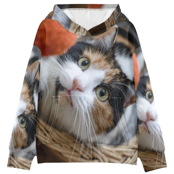 DIXRUYEE Youth Hoodie Pullover Sweatshirt Playful Paws Printed