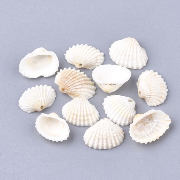 DIY 20pc Spiral Shell Charms Shell Creamy White 21~29.5x17.5~24x6~10.5mm Hole: 1.2mm