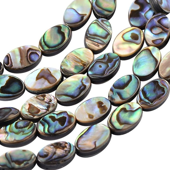 DIY 30 Packs Natural Abalone Shell Oval Abalone Shell Beads with Storage Containers for Valentine's Day Wedding Gift DIY Jewelry Making 10x6x3mm DIY