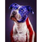 DIY 5D Diamond Art Painting Patriotic Dog Kits Full Drill Round Embroidery Pictures Canvas Arts Crafts for Living Room Home Wall Decor American Pit Bull Terrier Flag