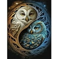 thumbnail image 1 of DIY 5D Diamond Painting Kit (For Adults) Diamond Painting "Owl" - Full Diamond Crystal Rhinestone Embroidery Craft Kit, Can Be Used as Gift, Wall Decoration, 1 of 7