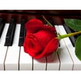 thumbnail image 1 of DIY 5D Diamond Painting Kit (for Adults) Diamond Painting "Piano, Rose, Music, Flowers" - Full Diamond Crystal Rhinestone Embroidery Craft Kit, Can Be Used as Gift, Wall Decoration, 1 of 5