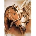 thumbnail image 1 of DIY 5D Diamond Painting Kit (for Adults) Diamond Painting "Two Horses" Full Diamond Crystal Rhinestone Embroidery Craft Kit Home Wall Decoration Gift, 1 of 7