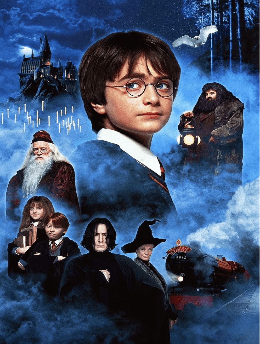 DIY 5D Full Round Diamond Painting Kit Diamond Art Kits for Adults