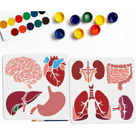 8 Styles Internal Organs Stencil 11.8×11.8inch Heart Brain Stencils with Painting Brush Reusable Stomach Lungs Intestines Body Organs Template for Wood Canvas Paper Fabric Wall DIY