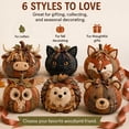 thumbnail image 1 of DIY Animal Pumpkin Sewing Kit, Cute Woodland Friends Harvest Fabric Craft Set, Pre-Cut Patchwork, Autumn Thanksgiving Decor, Halloween Seasonal Ornament, Handmade Gift,Owl, 1 of 7