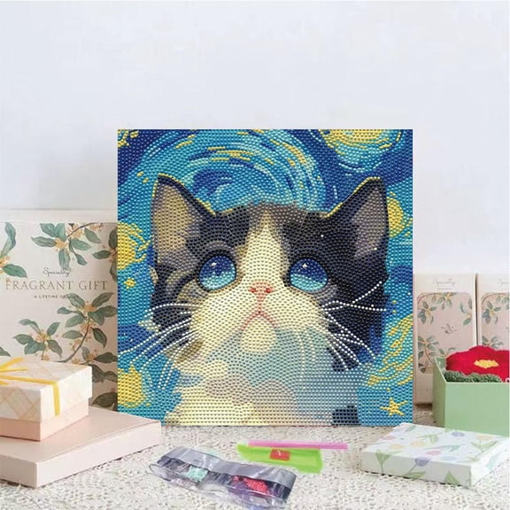 DIY Cat in the Starry Night Art Set with Frame Y7N2