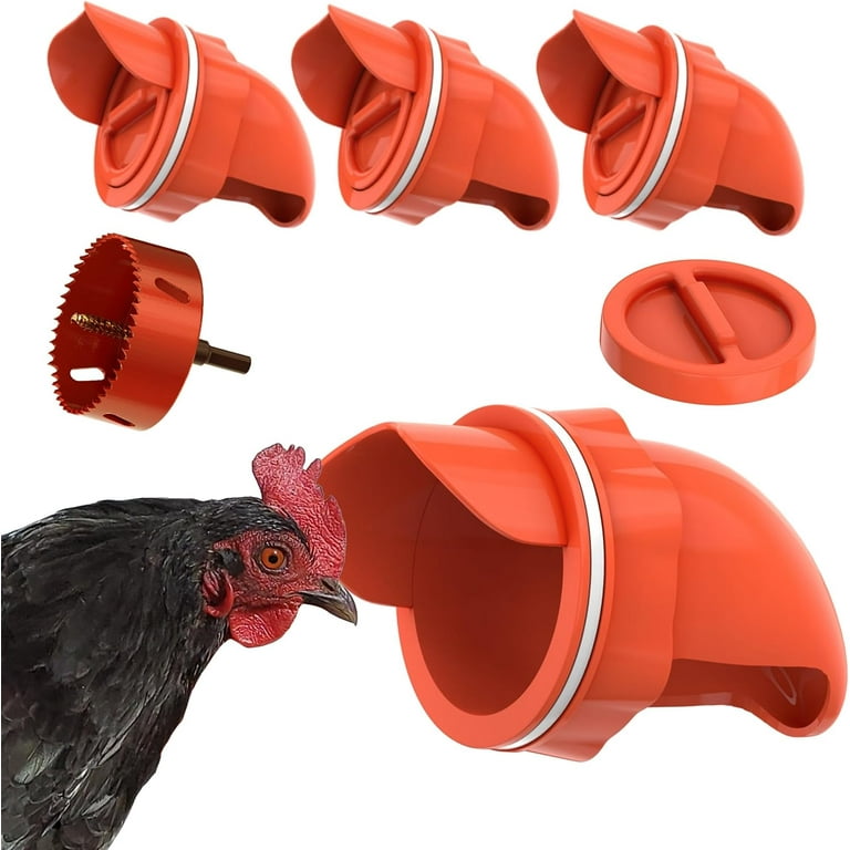 DIY Chicken Feeder Port, Automatic Chicken Feeders No Waste