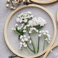 thumbnail image 1 of DIY Chinese Style Three-dimensional Transparent Yarn Manual Embroidery Material Package Edelweiss, 1 of 7