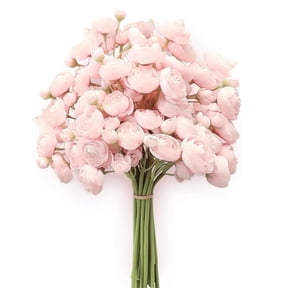 DIY Cream Peonies Bouquets,18Pcs Bulk Fake Vase Filler Flowers,Artificial Ranunculus Flowers,Faux Silk Ranunculus,for Home Decor,Wedding,Table Centerpieces and Bridal Shower (Pink)