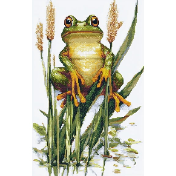 DIY Cross Stitch Kit Frog in Green and Yellow Sitting 11CT Embroidery Kit with Pattern Stamped Count by Numbers Craft Kit 40x50cm-4