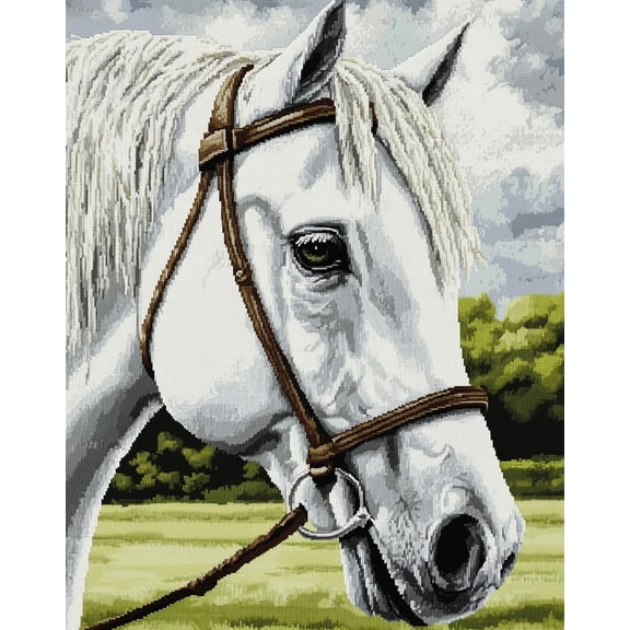 DIY Cross Stitch Kit White Horse with Bridle Close-Up 11CT Embroidery Kit with Pattern Stamped Count by Numbers Craft Kit 40x50cm-7