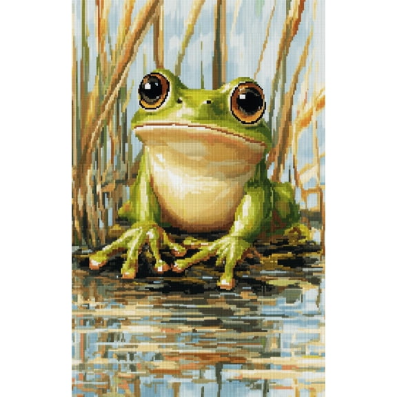 DIY Cross Stitch Kit for Beginners Cute Frog Sitting 11CT Embroidery Kit with Pattern Stamped Needlepoint Craft Kit for Home Decor 30x40cm-1