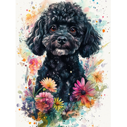 DIY Diamond Painting Black Poodle 12x16 Inch, Full Round Drill Kits Mosaic Art for Adults Relax & Home Wall Decor Festival Gift 525