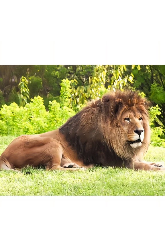DIY Diamond Painting Kits for Adults Majestic Lion 5D Diamond Art Kits, Full Drill Diamond Painting Kits, Gem Arts and Crafts for Beginner Home Wall Decor