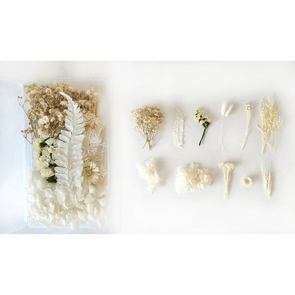 DIY Dried Flowers Kit Natural Real Flower Craft Set for Valentine's Day Gift Making, Home Decor Scrapbooking and Framed Art Projects(A)