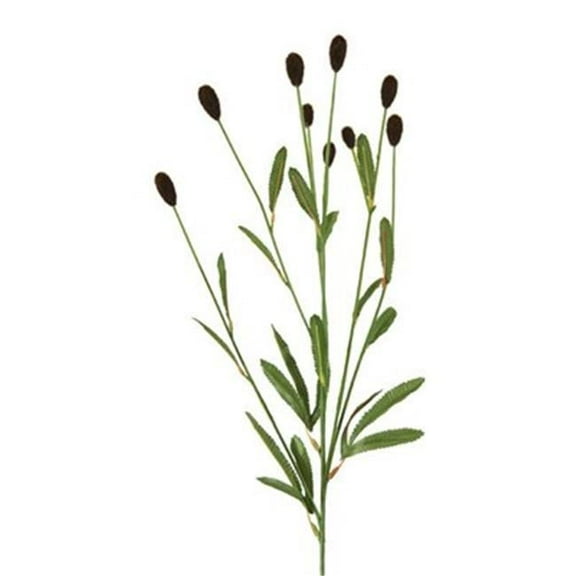 DIY Flower 27 in. L Artificial Dark Brown Clover x 6 Sprays with Leaves and 9 Buds - Pack of 12