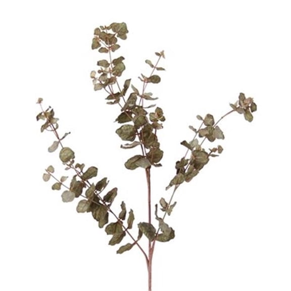 DIY Foliage 30 in. L Artificial Everlasting Gray-Green Eucalyptus x 3 Branches - Pack of 12