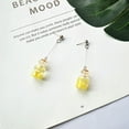 thumbnail image 1 of DIY Fruit Strawberry Pineapple Orange Watermelon Lemon Juice Drink Earrings, 1 of 2