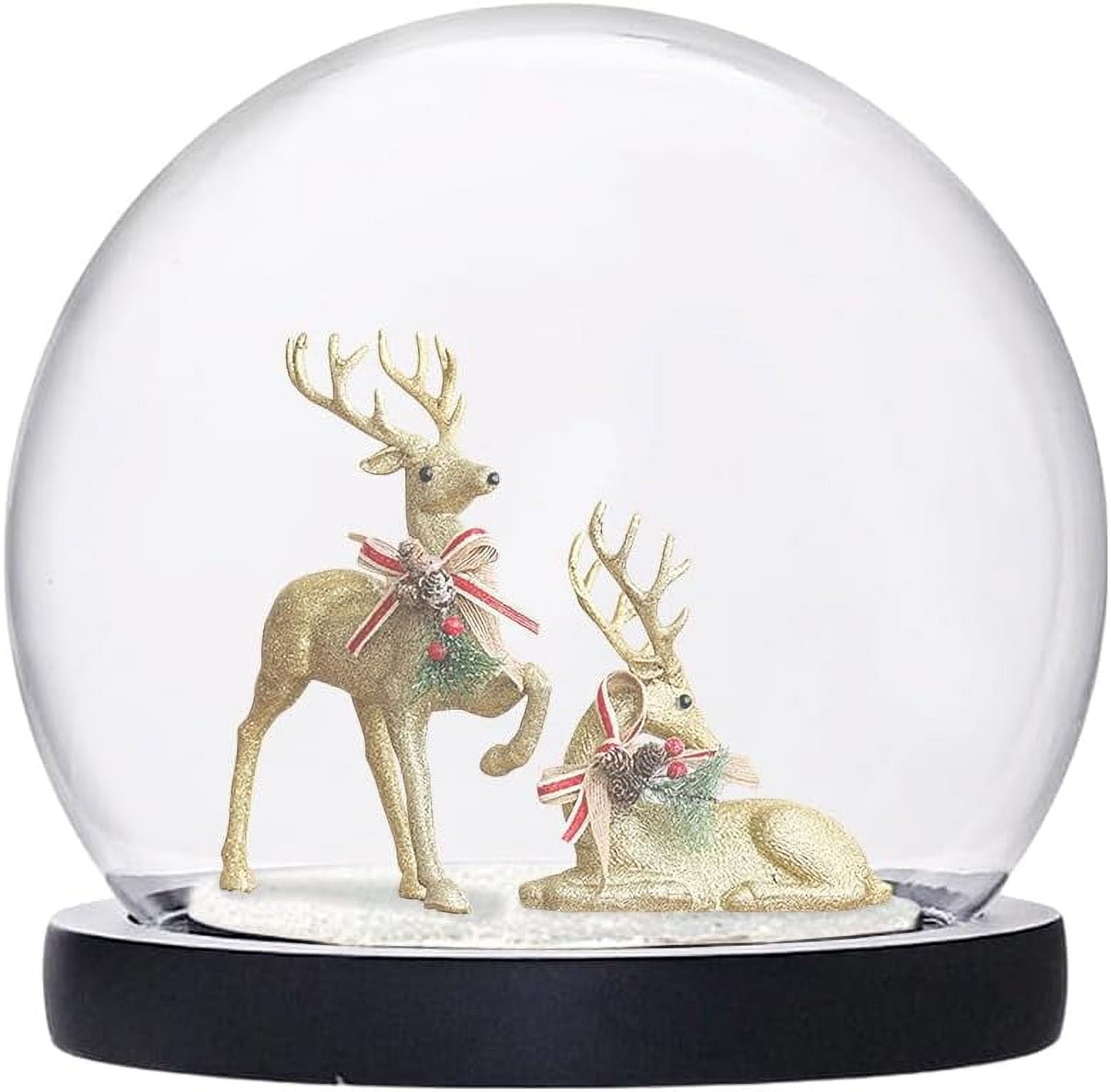 DIY Glass Display Dome Cloche with Black Wood Base Decorative Display ...