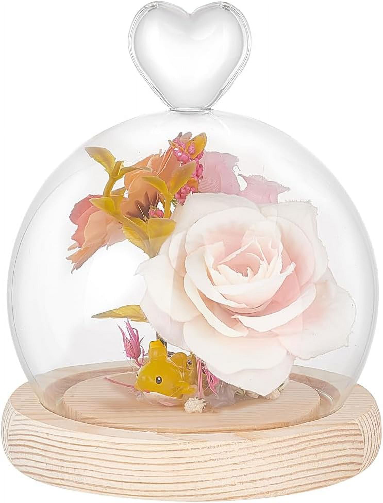 6 Piece Plastic Dome Cloche Set With Wood Bases - Display Domes For Collectibles & Decor 2 thumbnail image