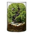 thumbnail image 1 of DIY Large Moss Terrarium Kit, High Borosilicate Glass Ecosystem Bottle for Indoor Plants, Moss Micro Landscape with Detailed Material Pack, Tools Included, 5.9 x 3.9 in Stress Calm Present, 1 of 8