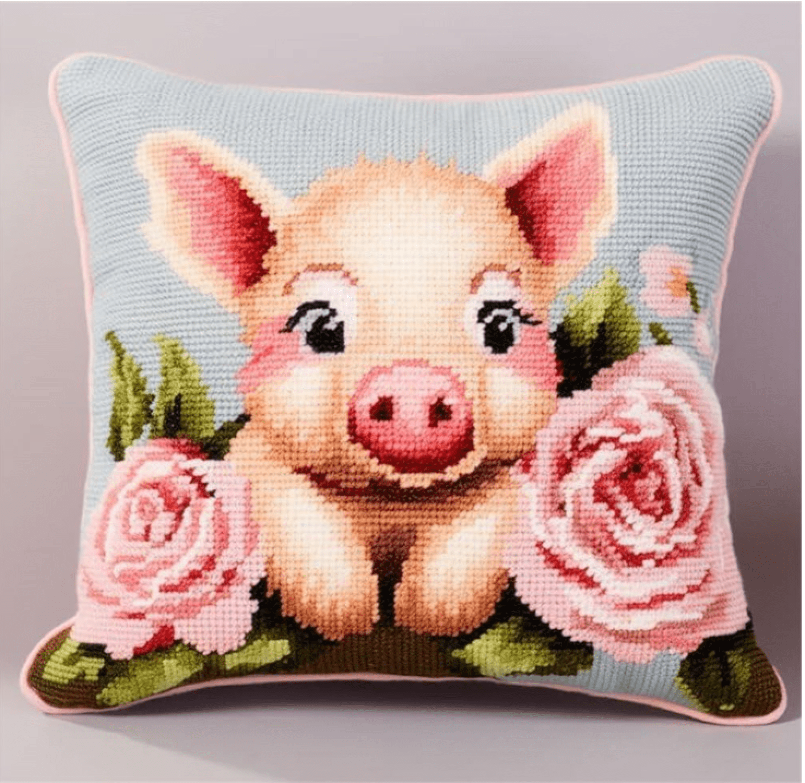 DIY Latch Hook Kits For Adults Pig And Flowers Pillowcase Cushion Cover Making Kits Statement Rug，Latch Hook Kits For A Starter Project 17x17in