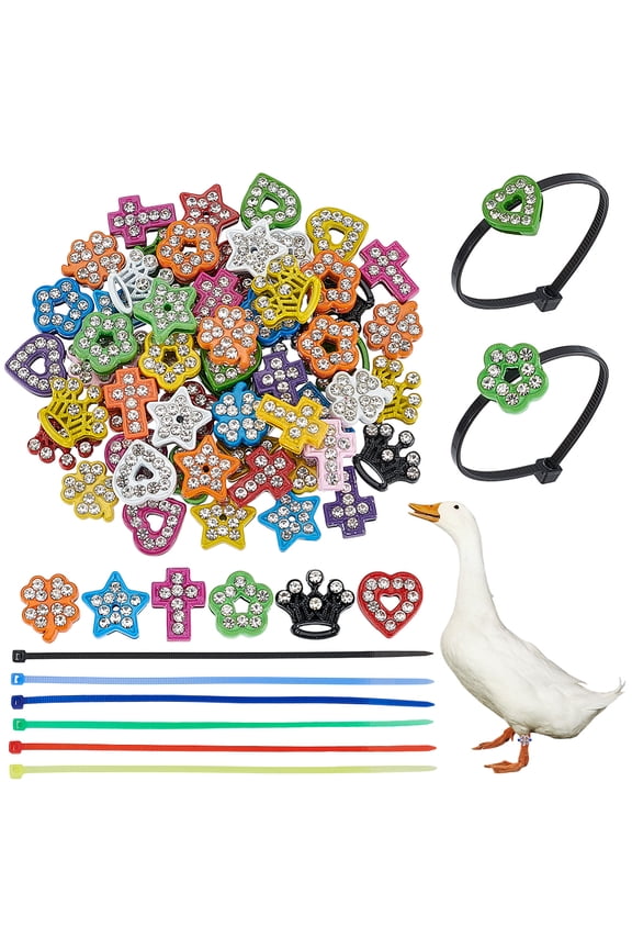 DIY Leg Ring Making Kits include Spray Painted Alloy Slide Charms Plastic Cable Ties Mixed Color 13.5x10x4.5mm Hole: 2x8mm