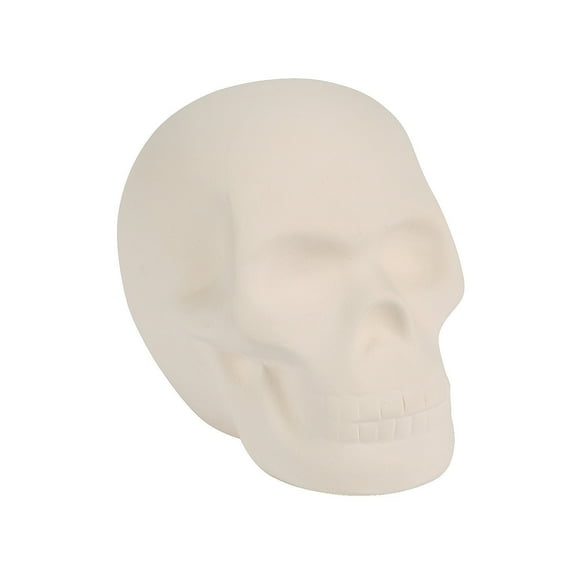 DIY Mini Ceramic Skull, Craft Kits, Halloween, 12 Pieces