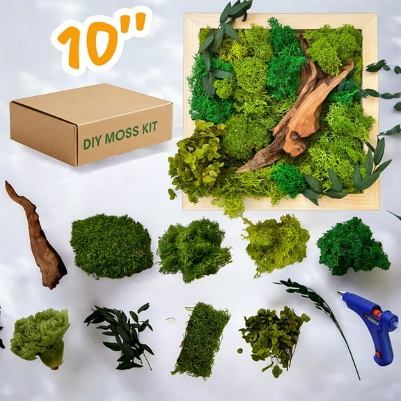 DIY Moss Wall Art Kit, Craft Project, Natural Gift, 10"