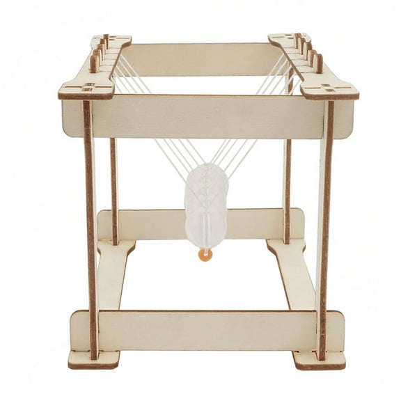 WRISTBIQUE Physics Experiment Supplies Newton's Cradle Wood 1 Set