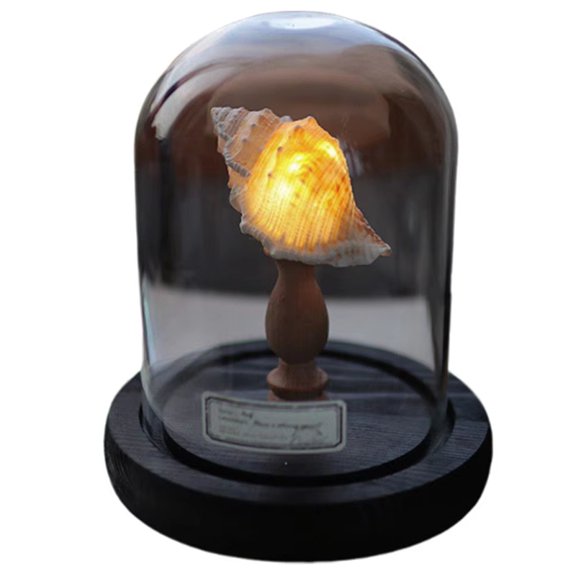 DIY Night Light Mini LED Lamp Soft Lighting Flicker Free Nightstand Lamp Novelty Home Decor Great Present Idea Style:A