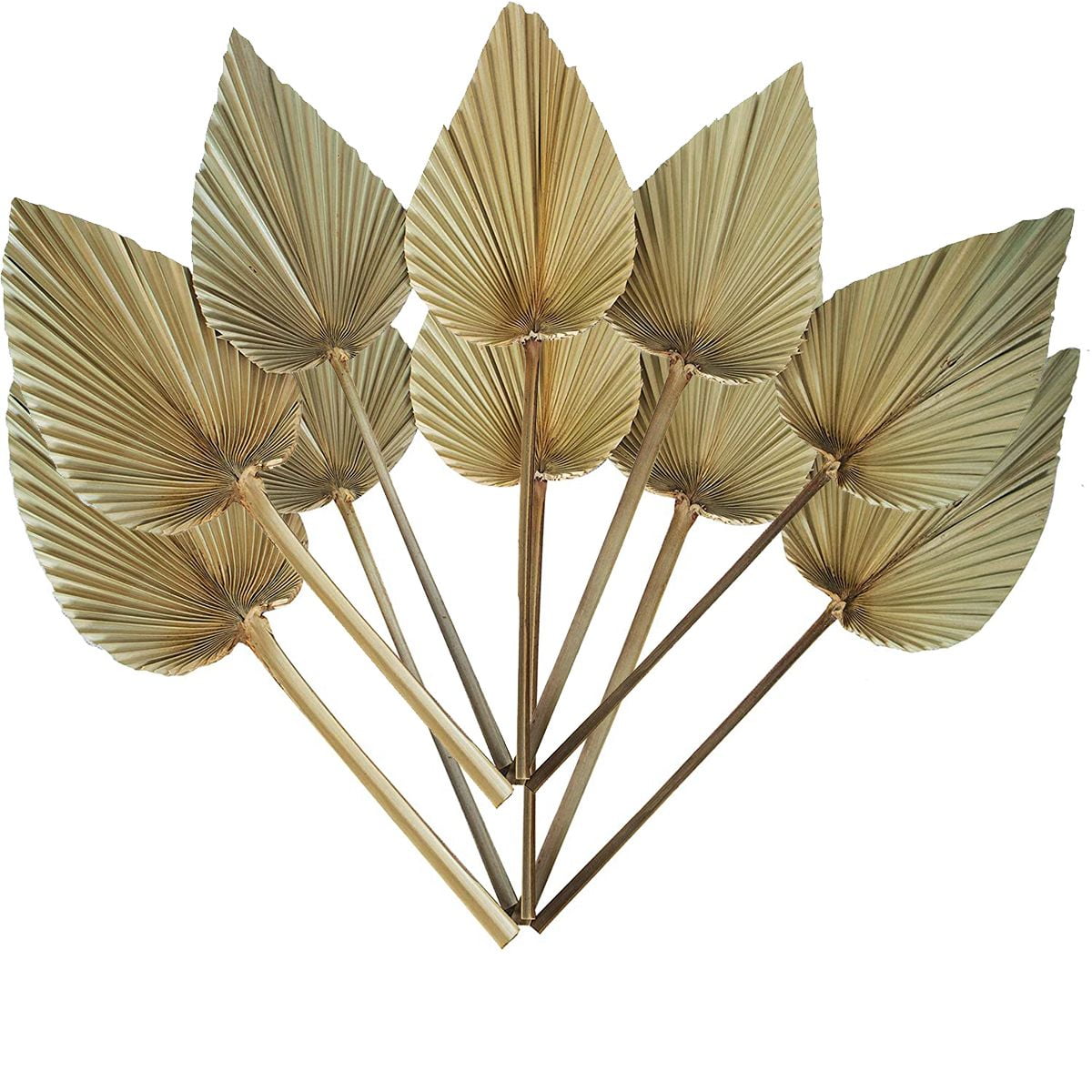 DIY Office Bohemian with Stem Boho Wall Decor Leaves Palm Spears Fan ...