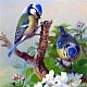 DIY Rectangle Diamond Painting Kits Including Canvas Resin Rhinestones 300x400mm Diamond Sticky Pen Tray Plate and Glue Clay Bird Pattern