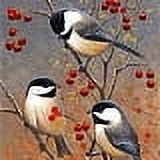 DIY Rectangle Diamond Painting Kits Including Canvas Resin Rhinestones Diamond Bird Pattern Sticky Pen Tray Plate and Glue Clay 300x400mm