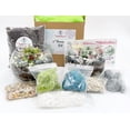 thumbnail image 1 of DIY Succulent Terrarium Gift Kit with Plants, Fairy Garden Kit with Reindeer Moss, 1 of 9