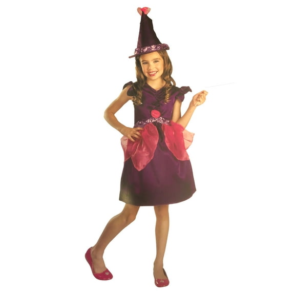 DIsguise Girls Botanical Witch Purple Dress & Hat Halloween Costume Small (4-6X)